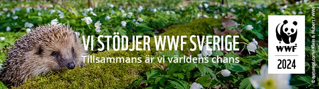 Julgåva 2024 WWF