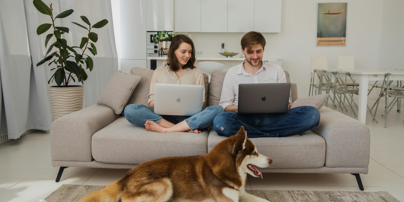 Svenskarna och Internet 2025
